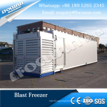 Low temperature blast freezer for food conservation